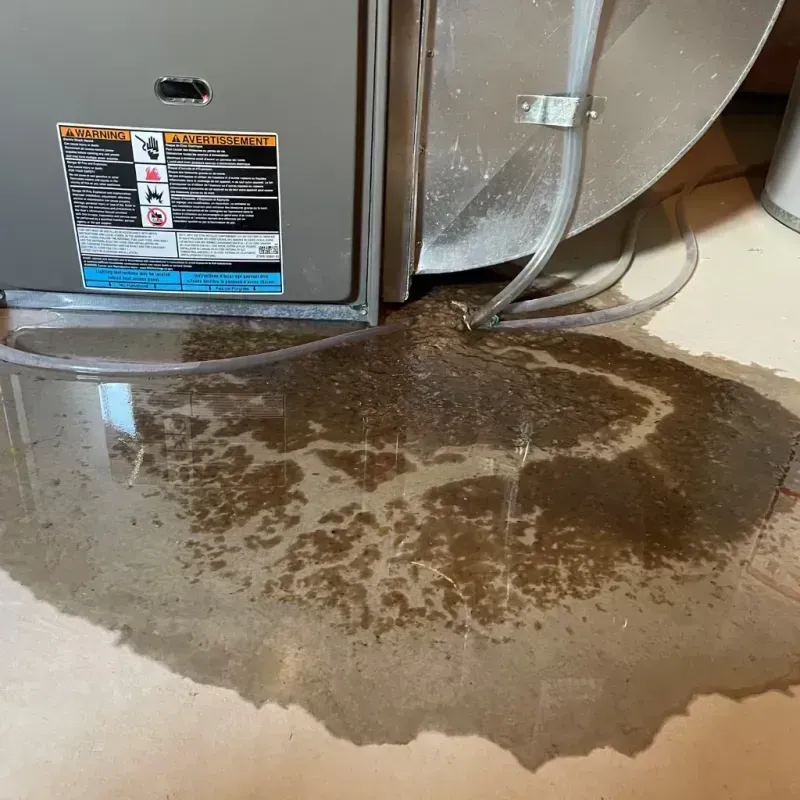 Appliance Leak Cleanup in Scotchtown, NY